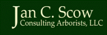 Jan C. Scow Consulting Arborist